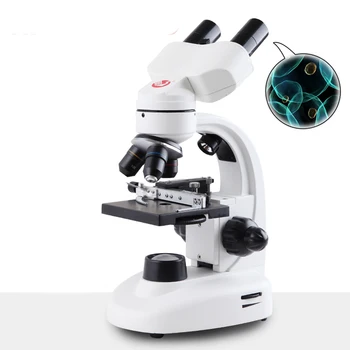 profesyonel optik biyolojik mikroskop 5000X dürbün çocuk deney taşınabilir elektronik mikroskop sperm