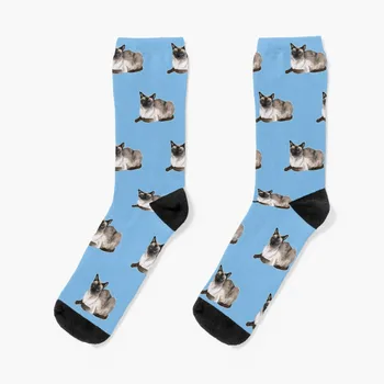 Siyam kedi Çorap komik hediyeler tasarımcı çorap futbol çorap serin çorap Çorap Kız erkek