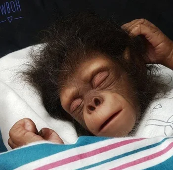 yeniden doğmuş bebek kiti maymun orangutanlar gerçekçi gerçekçi sanatçı yapımı unpaited boş bebek parçaları